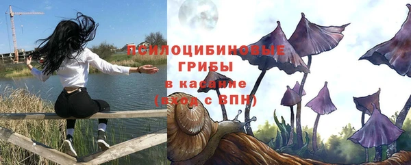 дмт Бугульма